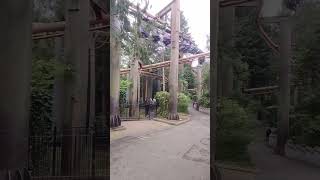 The vampire at Chessington world of adventures edit [upl. by Tidwell]