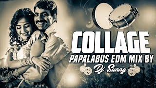 COLLAGE PAPALA BUS SONG MIX BY DJ SUNNY [upl. by Rimaa]