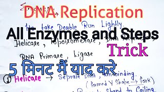 DNA Replication  Enzymes amp Process  TrickMnemonic  5 मिनट मैं याद करे [upl. by Fayre]