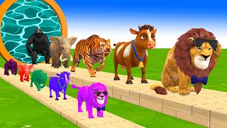 Paint amp Animals CowElephantLionTigerGorilla Fountain Crossing Transformation Cartoon [upl. by Filberto]