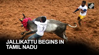 Jallikattu begins at Avaniyapuram village in Madurai [upl. by Robers]