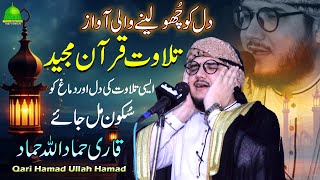 Tilawat e Quran  Qari Hamad Ullah Hamad  Beautiful Voice  Moon Studio Islamic [upl. by Arym418]