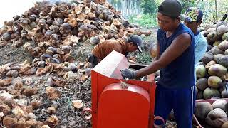 Mesin pengupas kelapa produksi jalur 5 banyuasin sumatera selatan [upl. by Intruok527]