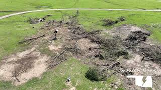 Barnsdall Oklahoma EF4 Tornado  Intense Tree Damage [upl. by Oremar]