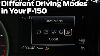 What Different Driving Modes Do In Your F150 [upl. by Hobart]