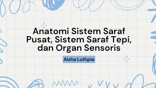 Tugas Anatomi Sistem Saraf Pusat Sistem Saraf Tepi dan Organ Sensoros [upl. by Seuqcaj]