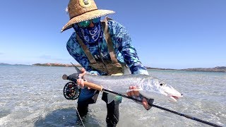 Bonefish on the Fly with the MaxCatch Sprint Fly Reel [upl. by Tterrag]