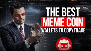 The BEST Meme Coin Wallets to Copytrade NEW 2025 [upl. by Royd]