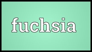 Fuchsia Meaning [upl. by Eenafit128]