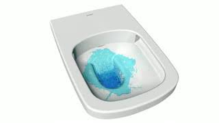 Duravit  SensoWash Autowashing Toilet Features [upl. by Wyly]