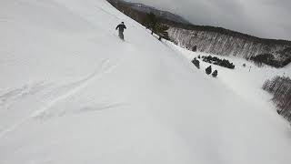 スノースクートカービング SNOWSCOOT TORINITYSSST CARVING TEST [upl. by Bixby]