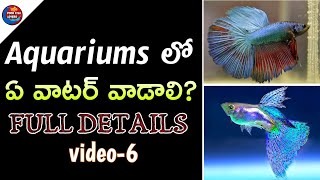 Which Water to Use for Aquarium  Aquarium in Telugu  Which water is best for aquarium  Aquarium [upl. by Sirmons]