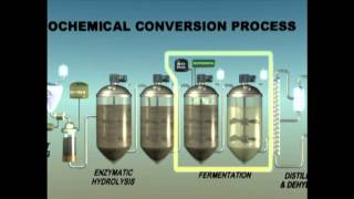 Biochemical Enzymatic Hydrolysis [upl. by Pas]