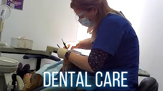 Dental care in the clinic by dental hygienist [upl. by Fisa]