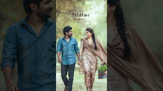 Naa favourite Naa pellam song lyricsjanaka ayithe ganaka movie songlovewhatsappstatusvideo [upl. by Nyliuqcaj]