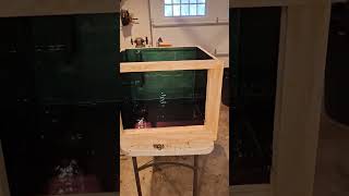 Sneak peak 50 gallon Plywood Aquarium build [upl. by Liebermann]