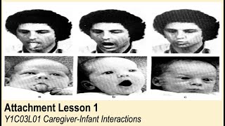 ALevel Psychology AQA Attachment  CaregiverInfant Interactions [upl. by Bruyn994]