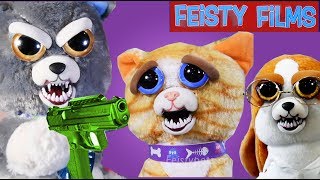 Feisty Cats vs Dogs Compilation Who Is Feistier [upl. by Bradleigh147]