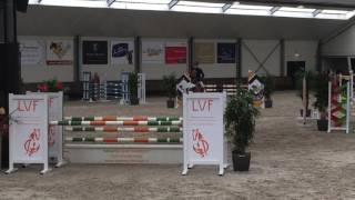 Stal de Zuidhof 9yo gelding Lavalletto x Abke x Absinth [upl. by Rafael]