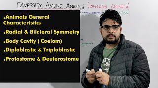 Basic concepts of Diversity among Animals Kingdom Animalia [upl. by Gilliette]