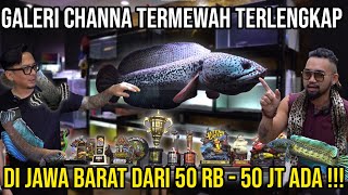 GALERI CHANNA TERMEWAH TERLENGKAP DI JAWA BARAT DARI 50RB50JT ADA CHANNA SYSTEM SYNDICATE [upl. by Urata]