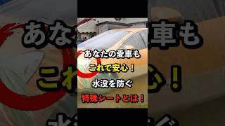 愛車のずぶ濡れを防ぐ！車の故障や水没から守る特殊シートとは‥！ 車 洪水 豪雨 [upl. by Stedt]