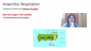 Chap 12 Part 1d Anaerobic Respiration  Cambridge ALevel 9700 Biology [upl. by Nilesoj]