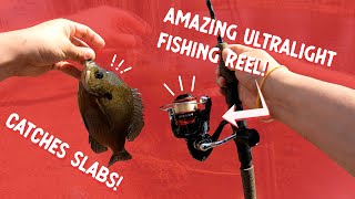 Shimano Sienna 1000 Review  This Reel Will Help YOU Catch More Fish [upl. by Lawley]