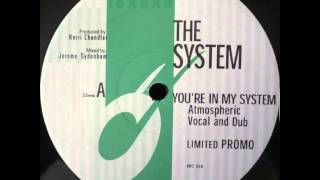 The System  Youre In My System Atmospheric Dub Ibadan 1998 [upl. by Barthel582]