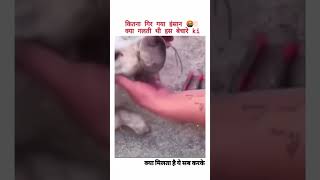 ritik dog kennel please help tha dog s 🥹🥹doglover video dogaggression trending love [upl. by Sterling]