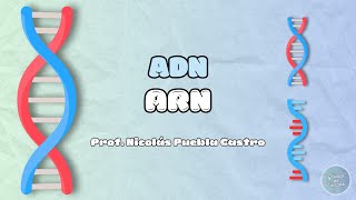 ADN y ARN [upl. by Edmee]