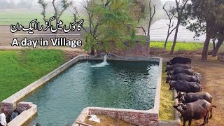 Beautiful Village in Pakistan  Best Lifestyle [upl. by Niarbo229]