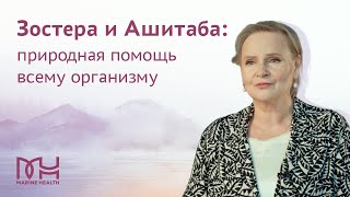 Zostera и Ashitaba природная помощь всему организму [upl. by Anaoj]