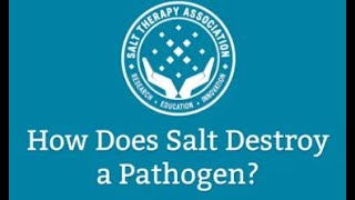 How Does Salt Destroy a Pathogen [upl. by Otrebide869]