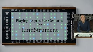 Playing Expressive Gestures on LinnStrument [upl. by Eartnoed858]