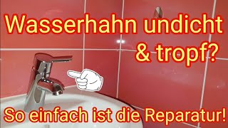 Wasserhahn tropf  ganz einfach reparieren MischbatterieEinhandmischer undicht  Anleitung amp Tipps [upl. by Glendon]