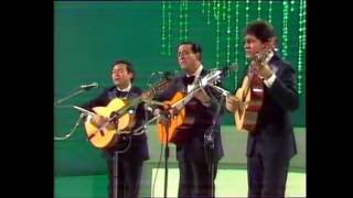 LOS PANCHOS NavarroBasurtoVargas  PERDÓN  1982 [upl. by Aneryc330]