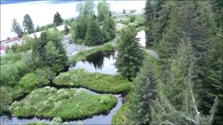 Alaska Cruise with Royal Caribbean  Radiance of the Seas [upl. by Ingaberg]