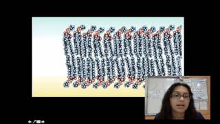 Cell Membrane Structure and Funciton [upl. by Eustazio505]