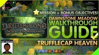 Druidstone Dawnstone Meadow Walkthrough Guide Trufflecap Heaven 100 [upl. by Gibbeon]