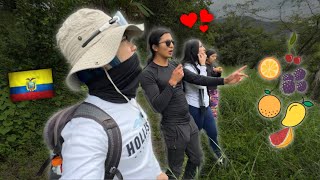 Este lugar esta lleno de ARBOLES DE FRUTAS 😱♥️  ECUADOR [upl. by Neerbas]