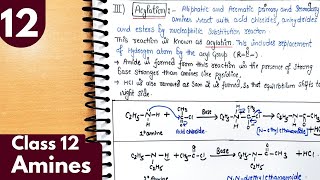 12 Alkylation and Acylation of amines Benzoylation Amines Class12 Chemistry jee neet chemistry [upl. by Andreas]