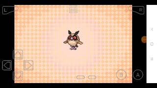 Pokemon advanced version Hoothoot evolution level [upl. by Llertnom]