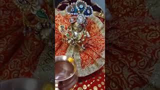 Hmari Ladli radha rani short [upl. by Yung641]