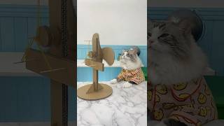 🌀 Will this fan keep spinning Watch Puffs latest experiment to find out 🌬️ PuffTheScientist [upl. by Swanhilda]