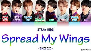 Stray Kids quotSPREAD MY WINGSquot SKZ2020 colorcodedlyrics HanRomEng [upl. by Hepsiba729]