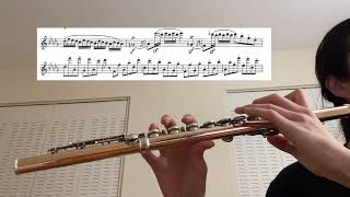 31124 practice log Berbiguier Flute Etude no 11 [upl. by Nomrej]