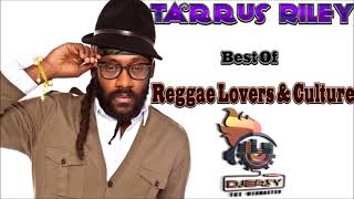 Tarrus Riley Mixtape Best of Reggae Lovers and Culture Mix by djeasy [upl. by Mountford925]