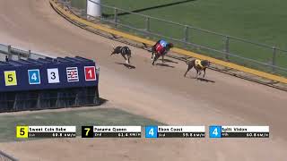 Gawler09102024Race9 [upl. by Ayhay411]