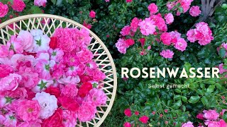 Rosenwasser selber machen  Hydrolat ohne Destille herstellen  DIY NaturkosmetikGesichtswasser [upl. by Miguelita]